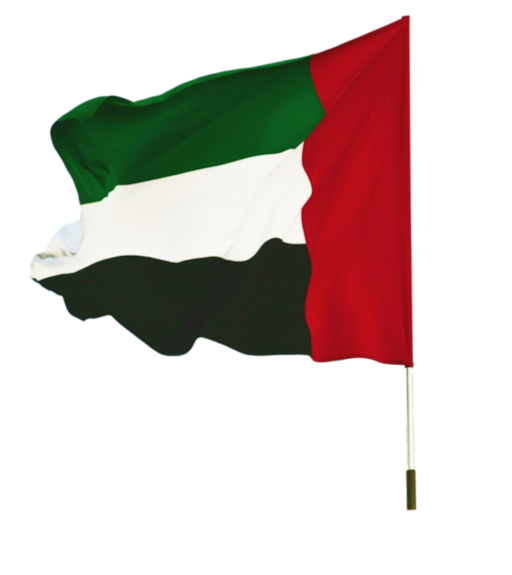 UAE Flag